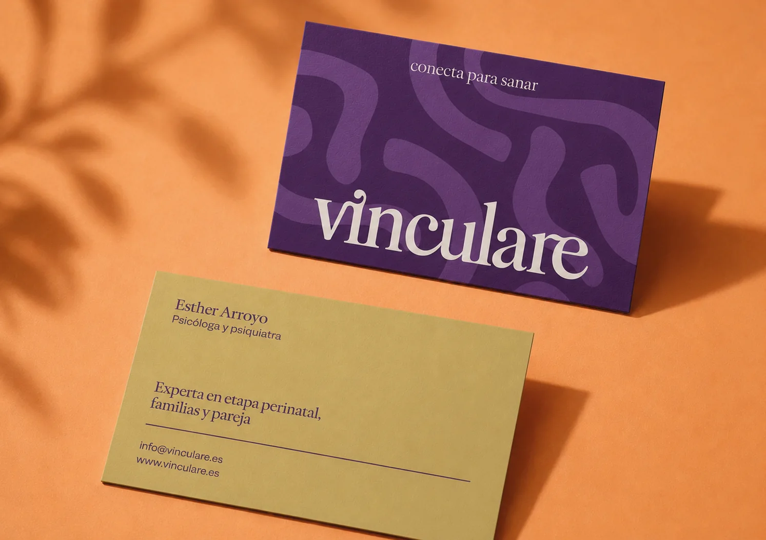 Vinculare 2.1